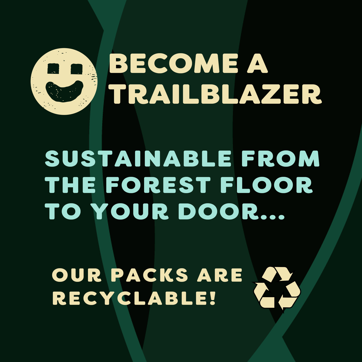 BRAZIL NUTS - Buck Naked Whole & Raw 30g